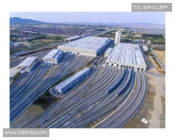 金海市与大田地铁的未来发展对比与启示探讨